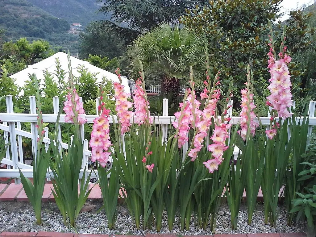 Bed & Breakfast B&B Claro De Luna Tovo San Giacomo
