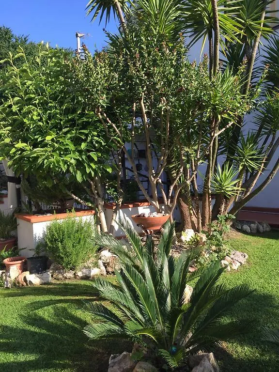B&B Claro De Luna Tovo San Giacomo Italy